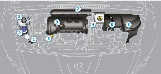 Peugeot 5008. Compartiments moteurs essence